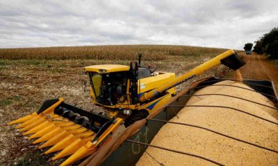 Estado já colheu 99% de uma safra recorde. No País a colheita está em 78%